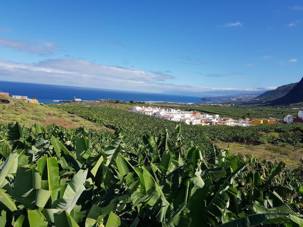 Appartamento Teno Mountains&Bananas Garden House Los Silos Esterno foto