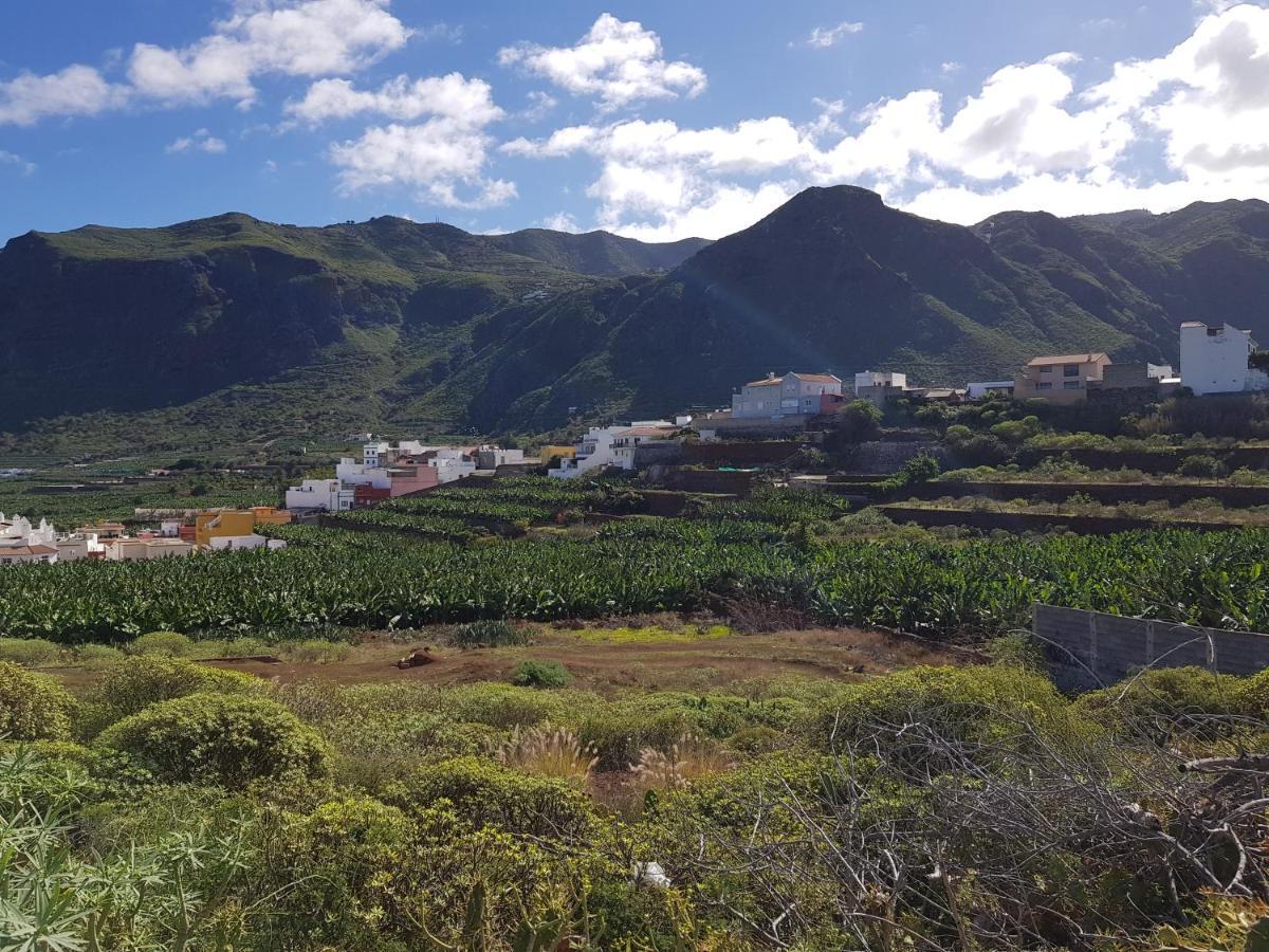 Appartamento Teno Mountains&Bananas Garden House Los Silos Esterno foto